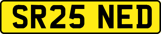 SR25NED