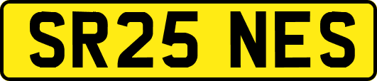 SR25NES