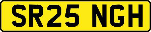 SR25NGH