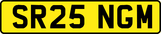 SR25NGM