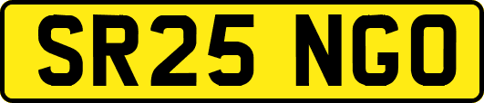 SR25NGO