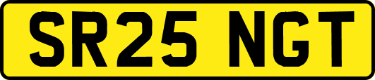SR25NGT