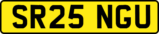 SR25NGU