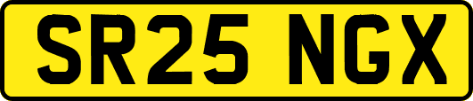 SR25NGX