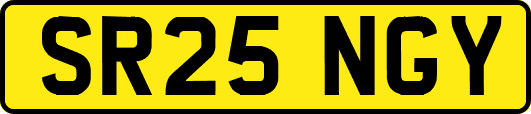 SR25NGY