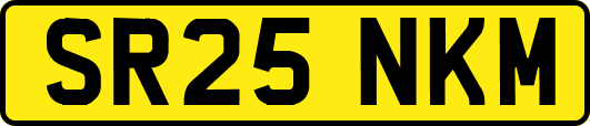 SR25NKM