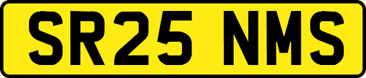 SR25NMS