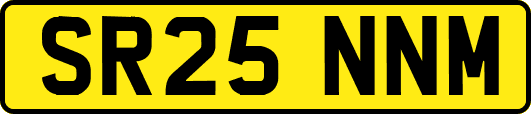 SR25NNM