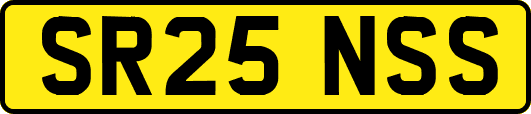 SR25NSS