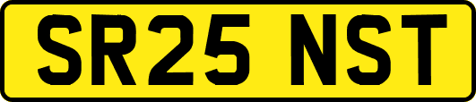 SR25NST