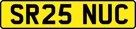 SR25NUC
