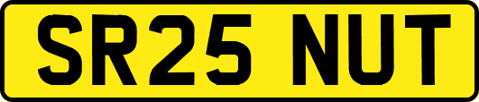 SR25NUT