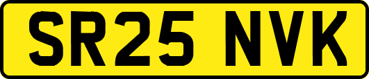 SR25NVK