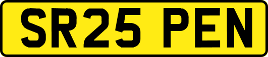 SR25PEN