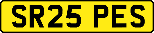 SR25PES