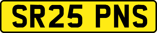 SR25PNS