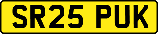 SR25PUK