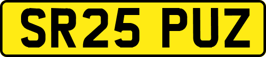 SR25PUZ
