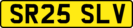 SR25SLV