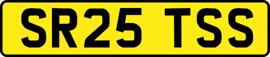 SR25TSS