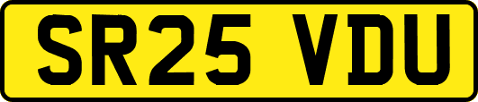 SR25VDU