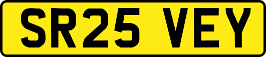 SR25VEY
