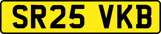SR25VKB