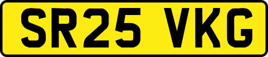 SR25VKG