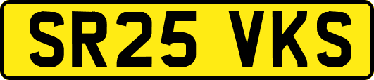 SR25VKS