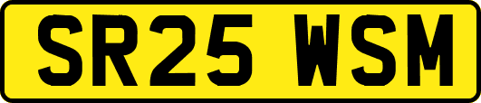 SR25WSM