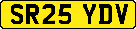 SR25YDV