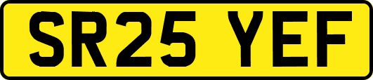 SR25YEF