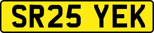 SR25YEK