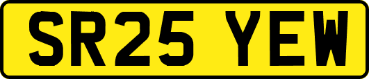 SR25YEW