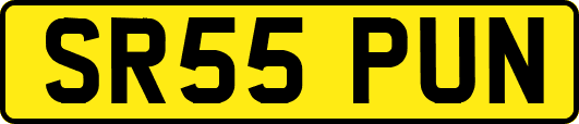 SR55PUN