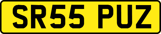 SR55PUZ