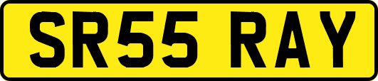 SR55RAY
