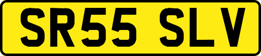 SR55SLV
