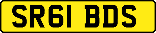 SR61BDS