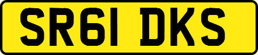 SR61DKS