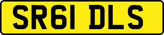 SR61DLS