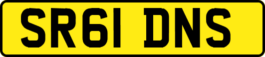 SR61DNS