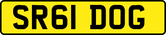 SR61DOG