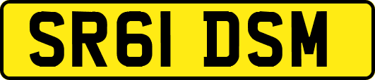 SR61DSM