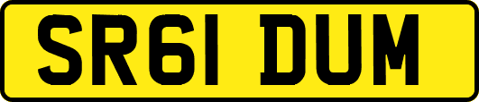 SR61DUM