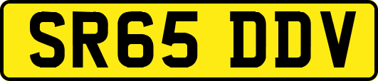 SR65DDV