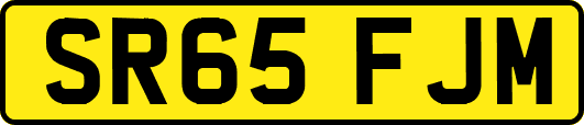 SR65FJM