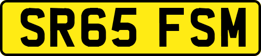 SR65FSM