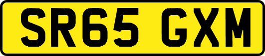SR65GXM