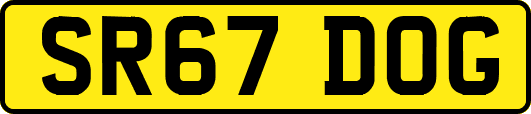 SR67DOG
